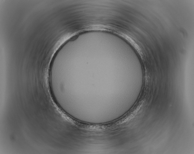 X0000112000901200908311111