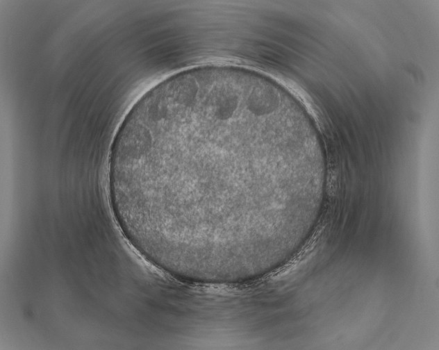 X0000112000903200908311111