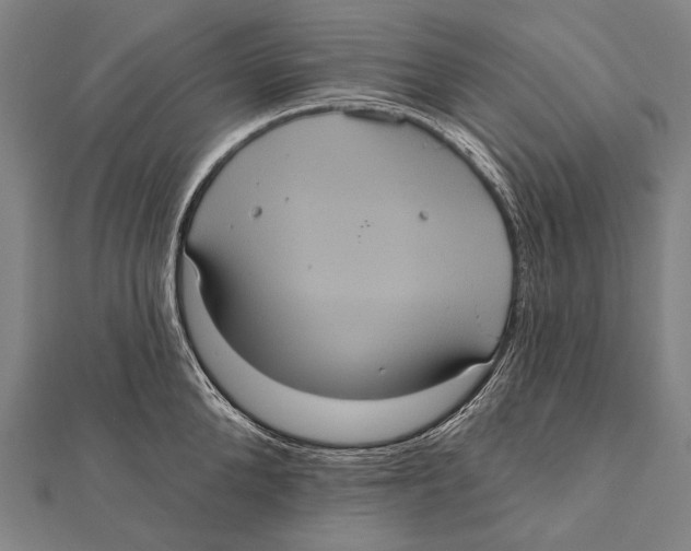 X0000112000904200908311111