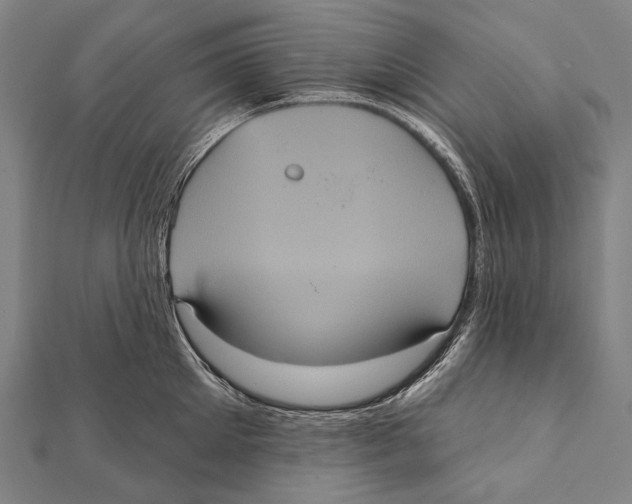 X0000112000905200908311111