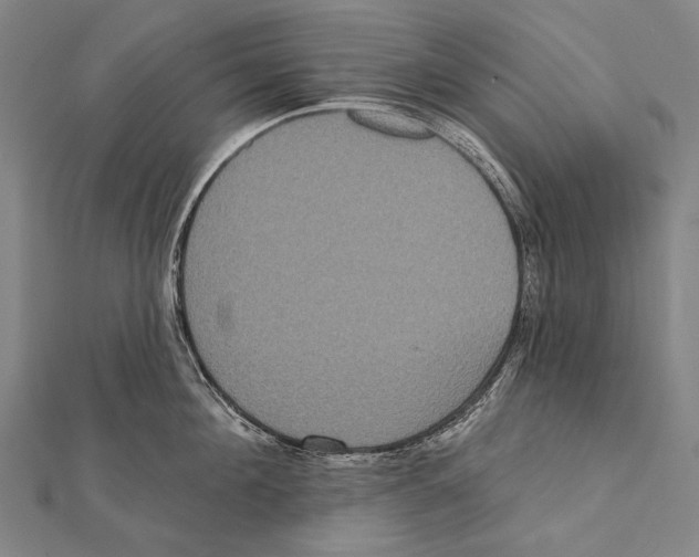 X0000112000908200908311111