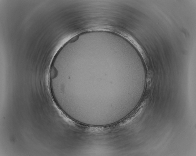 X0000112000909200908311111