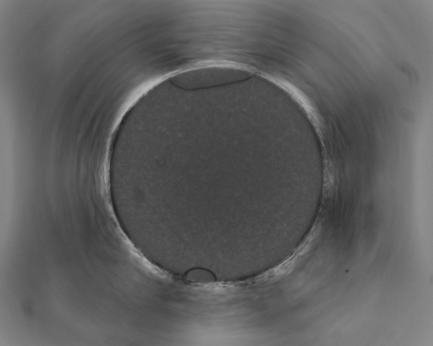 X0000112000910200908311111