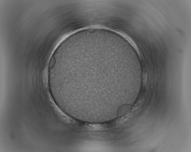 X0000112000911200908311111