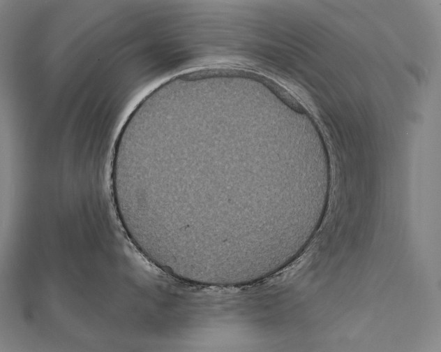 X0000112000912200908311111