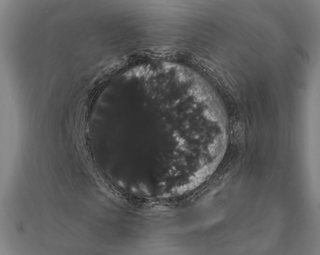 X0000112000913200908311111