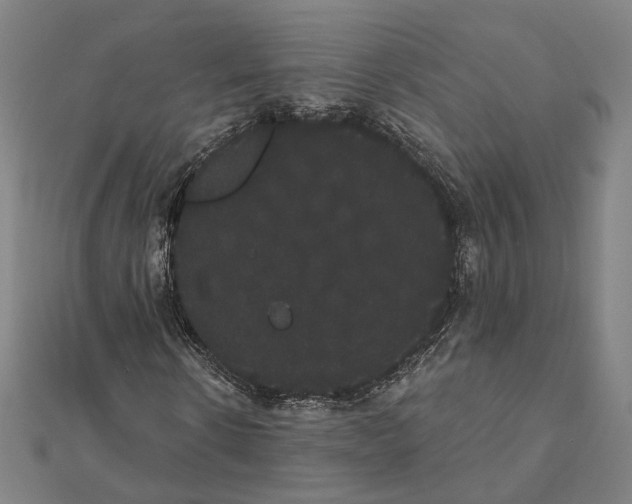 X0000112000914200908311111