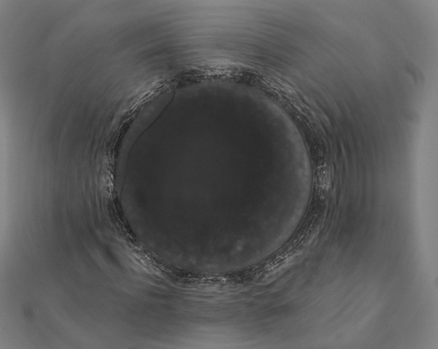 X0000112000916200908311111