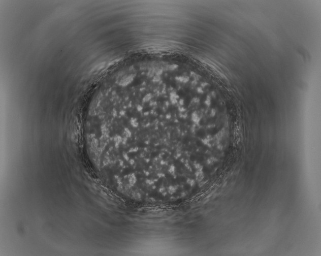 X0000112000917200908311111