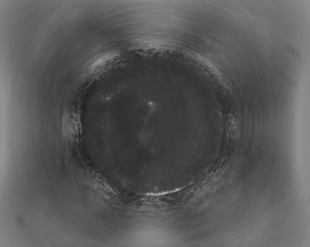 X0000112000918200908311111