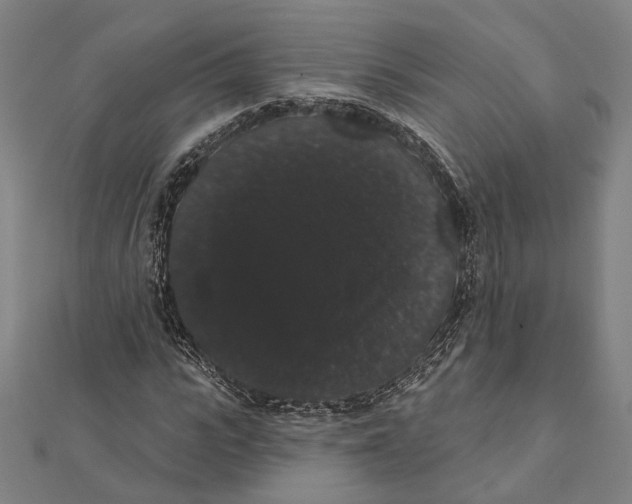 X0000112000919200908311111