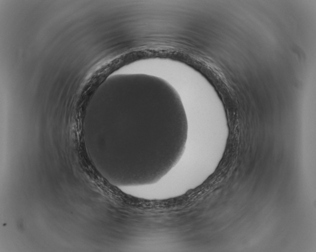 X0000112000920200908311111