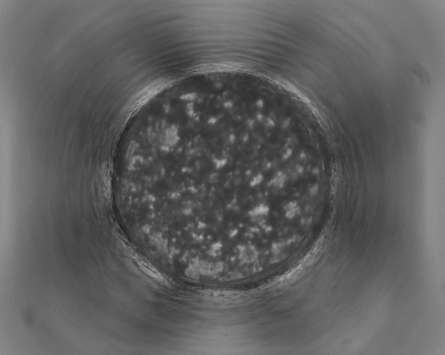 X0000112000921200908311111