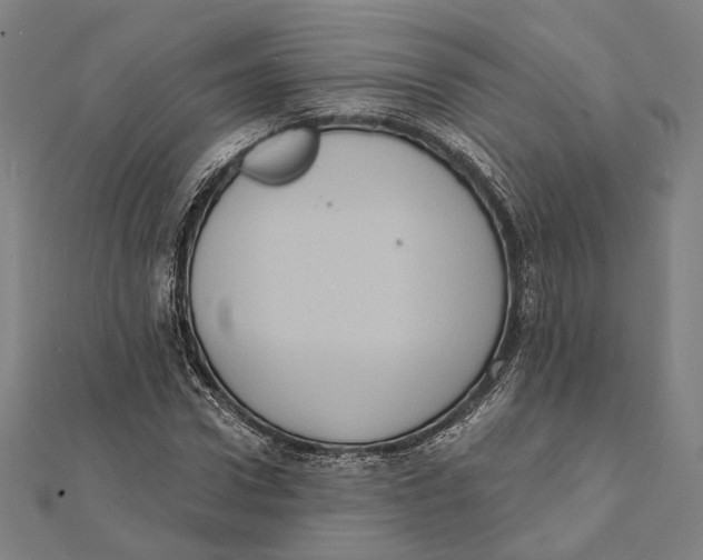 X0000112000922200908311111