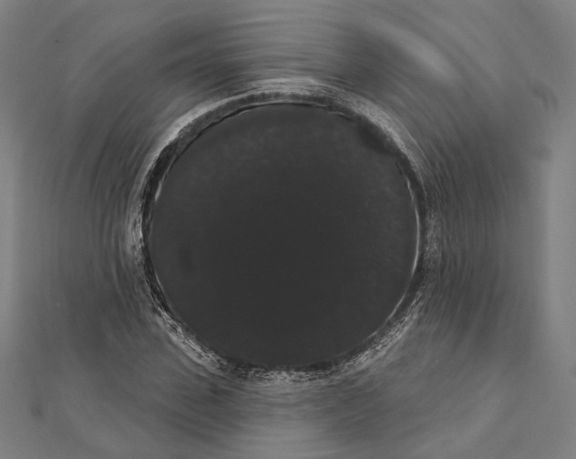 X0000112000923200908311111