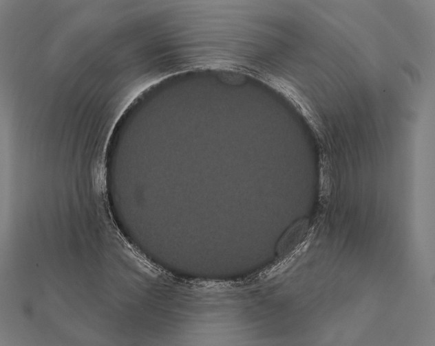 X0000112000924200908311111