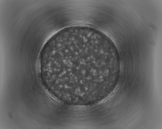 X0000112000925200908311111