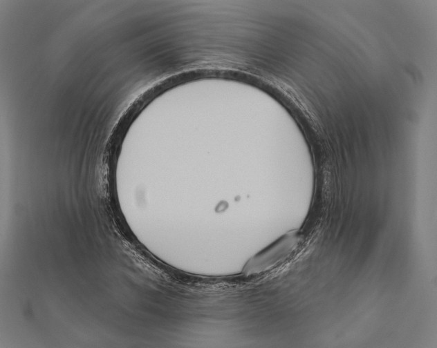 X0000112000926200908311111