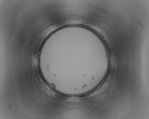 X0000112000929200908311111