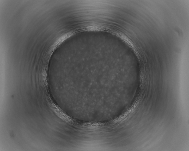 X0000112000930200908311111