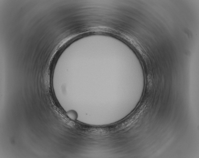 X0000112000931200908311111