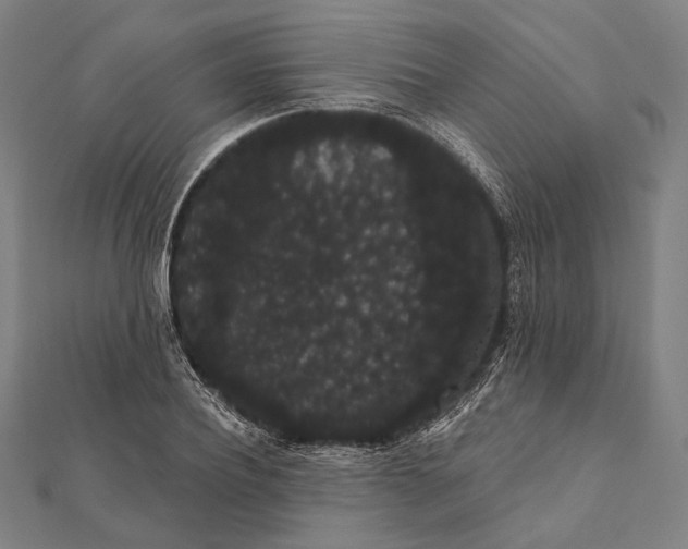 X0000112000932200908311111