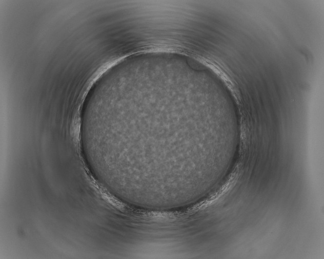 X0000112000933200908311111