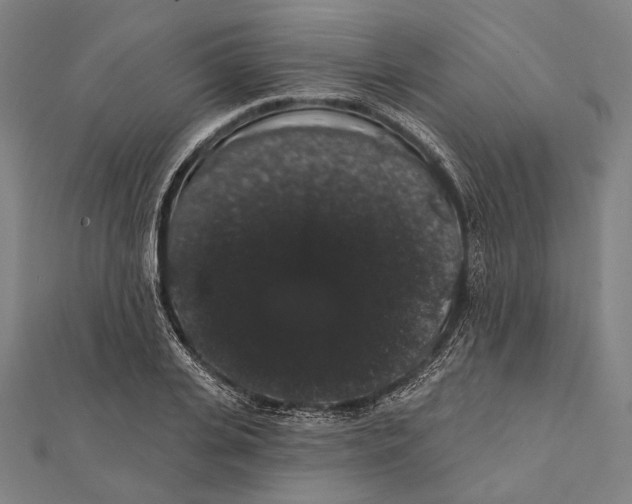 X0000112000935200908311111