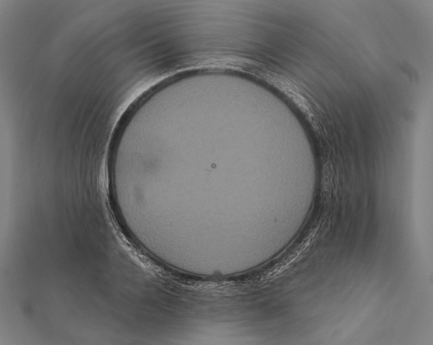 X0000112000936200908311111