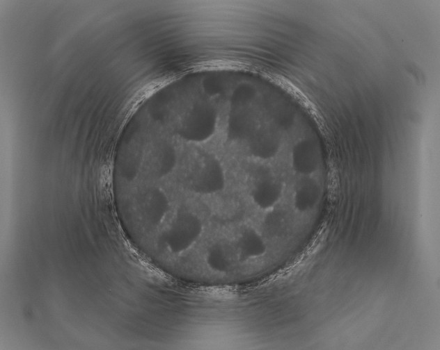 X0000112000937200908311111