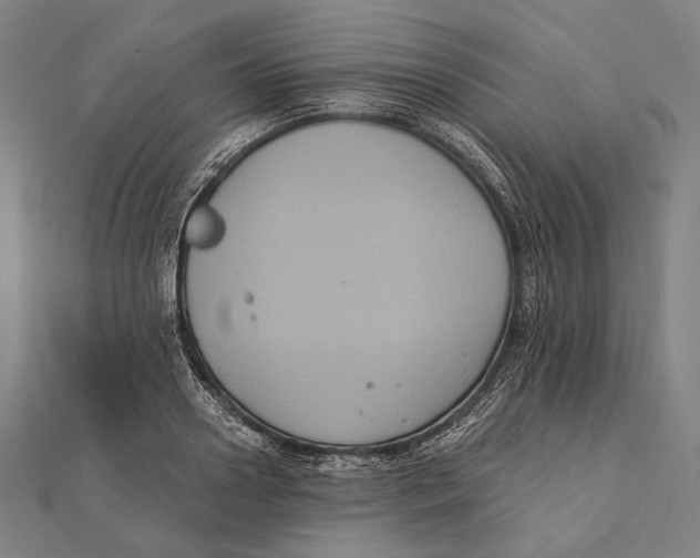 X0000112000938200908311111