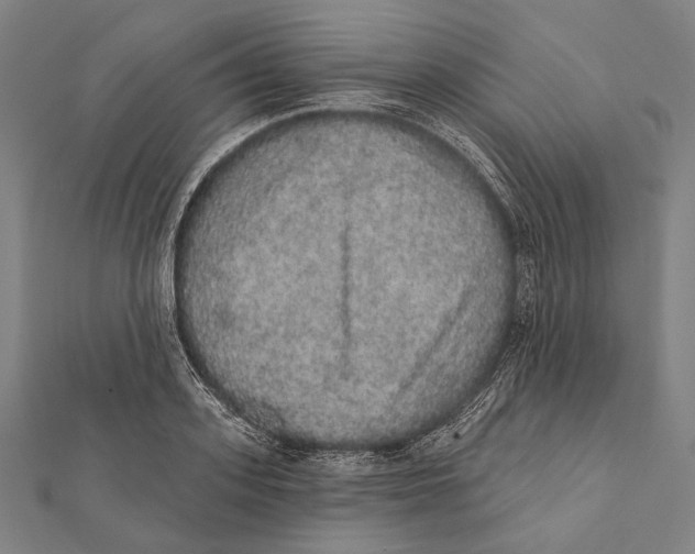 X0000112000939200908311111