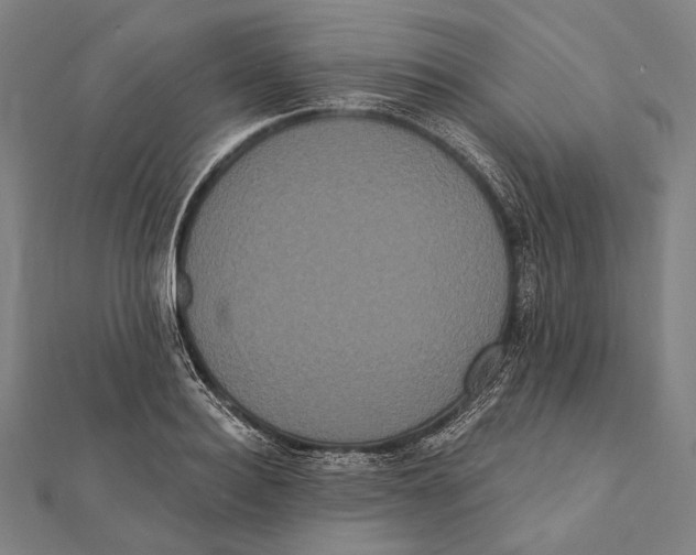 X0000112000940200908311111