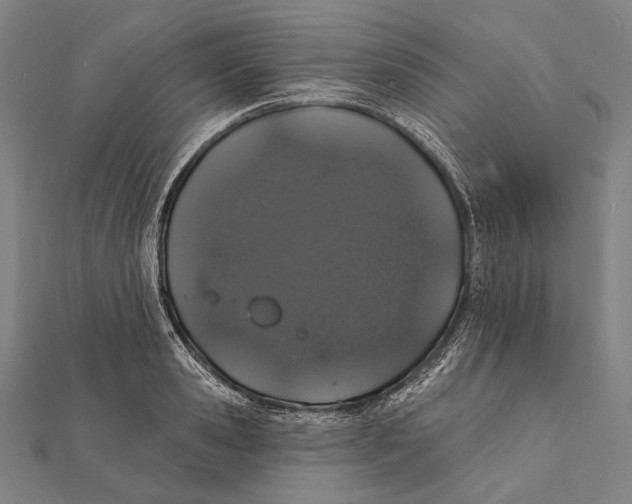 X0000112000941200908311111