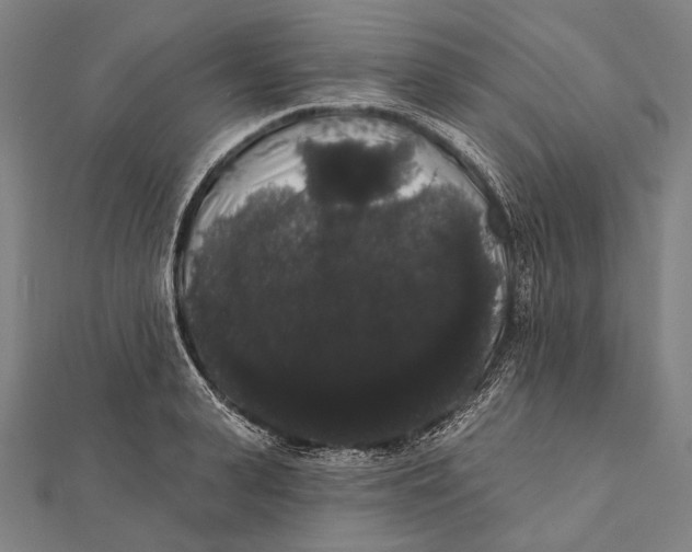 X0000112000943200908311111