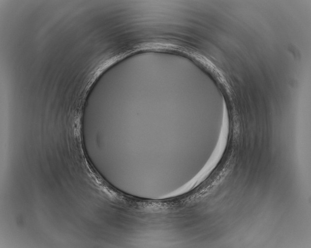 X0000112000945200908311111