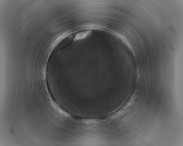 X0000112000946200908311111