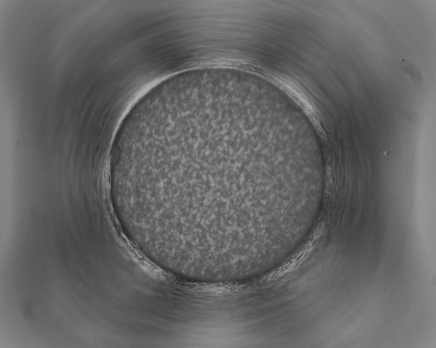 X0000112000948200908311111