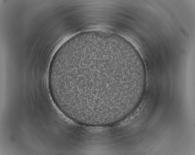 X0000112000949200908311111