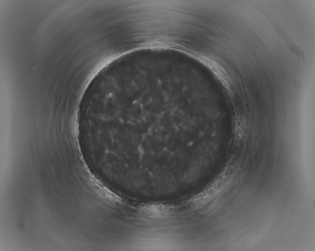 X0000112000950200908311111