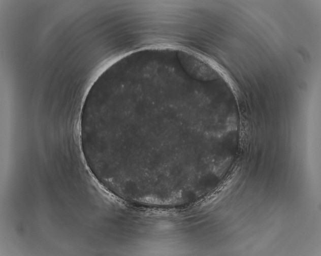 X0000112000951200908311111