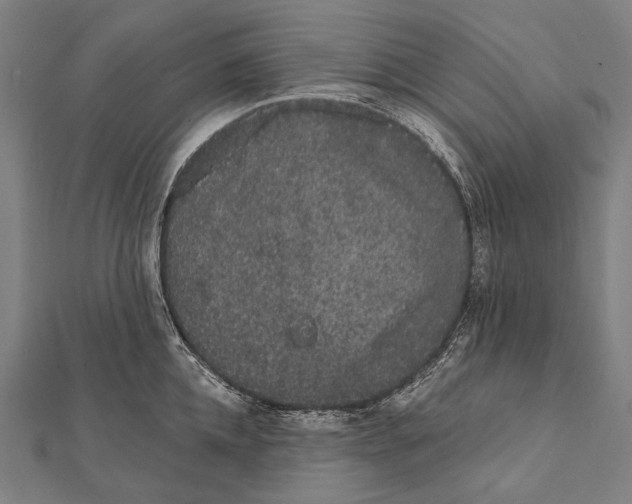 X0000112000952200908311111