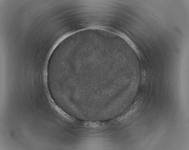 X0000112000955200908311111