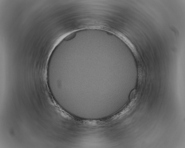 X0000112000956200908311111