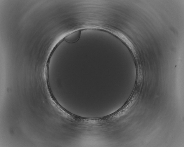 X0000112000958200908311111