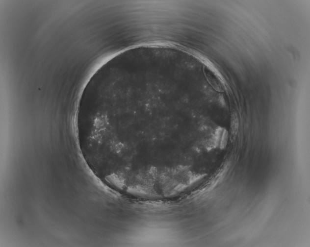 X0000112000959200908311111