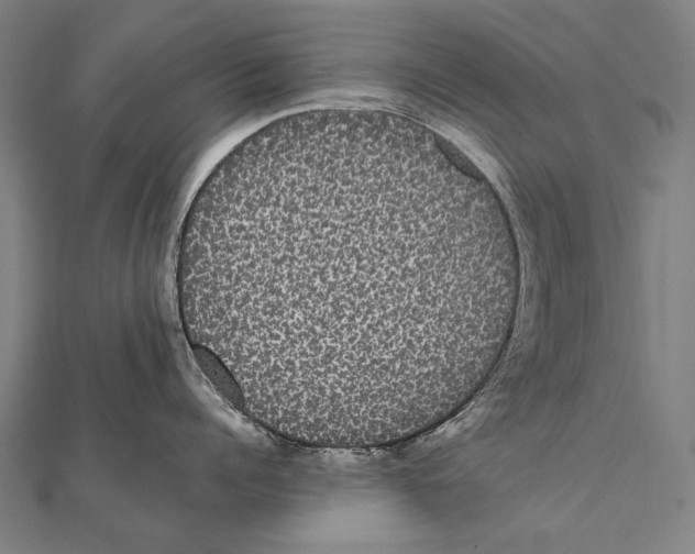 X0000112000960200908311111