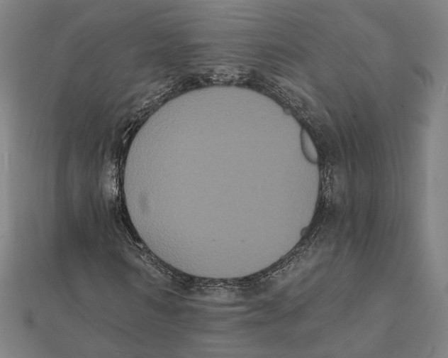 X0000112000962200908311111