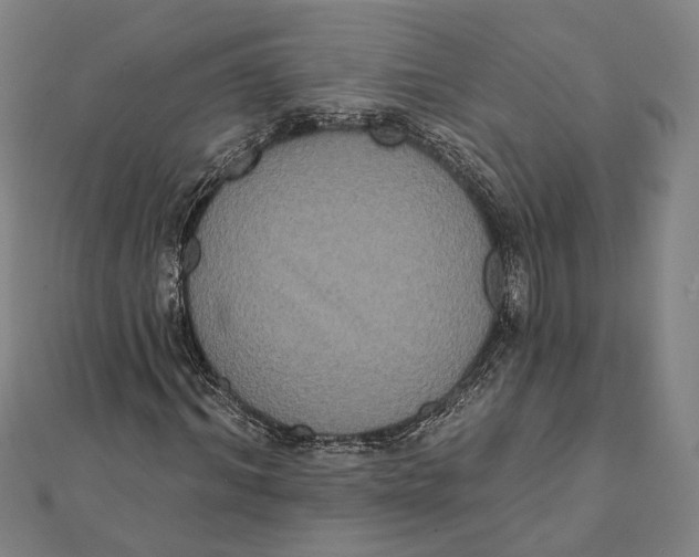 X0000112000964200908311111