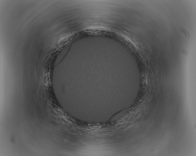 X0000112000965200908311111